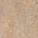 Forbo Marmoleum Click Cinch LOC Seal 933407 Donkey Island 12