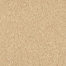 Armstrong Premium Excelon Crown Texture 5C241 Honey 12