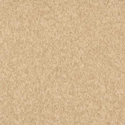 Armstrong Premium Excelon Crown Texture 5C241 Honey 12" x 12" VCT Tile (45 SF/Box) (Warehouse #2) Discontinued / Limited-Inventory