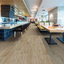 Next Floor Indestructible  NF415004 LVT Ecru Oak 004 (Partial Piece - Sample)