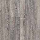 Armstrong Parallel USA 20 J5255 Enchanted 6