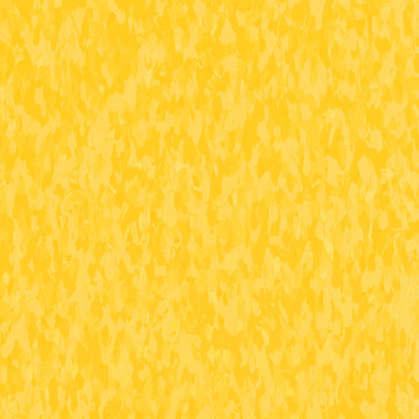 Armstrong 57509 Lemon Lick Standard Excelon Imperial Texture