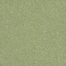 Armstrong Premium Excelon Crown Texture 5C866 Little Green Apple 12