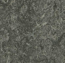 Forbo Mct 3048 Graphite (Partial Piece - Sample)