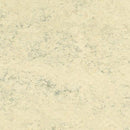 Forbo MCT (Marmoleum Composition Tile) 3050 White Birch 13.11
