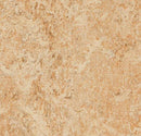 Forbo Mct 3075 Shell (Partial Piece - Sample)