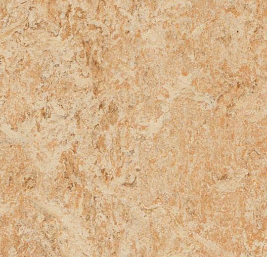 Forbo Mct 3075 Shell (Partial Piece - Sample)