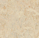 Forbo Mct 3120 Rosato (Partial Piece - Sample)