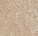 Forbo Mct 3141 Himalaya (Partial Piece - Sample)