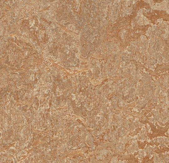 Forbo Mct 3233 Shitake (Partial Piece - Sample)