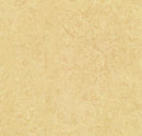 Forbo Mct 795 Butter (Partial Piece - Sample)