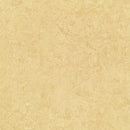 Forbo MCT 795 Butter 13.11