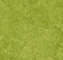 Forbo Mct 3247 Green (Partial Piece - Sample)