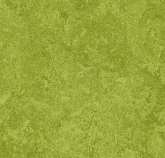 Forbo Mct 3247 Green (Partial Piece - Sample)