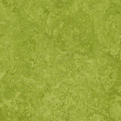 Forbo Green Linoleum MCT-3247 MCT (Marmoleum Composition Tile) 13.11" x 13.11" (53.82 SF/Box)