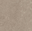 Forbo Mct 3252 Sparrow (Partial Piece - Sample)