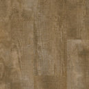Armstrong Natural Creations Diamond 10 Technology ArborArt NA143 City Mill Sunbeam 9