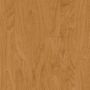 Armstrong Natural Creations Diamond 10 Technology ArborArt NA171 Solano Maple Sweet Sap 6
