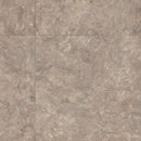Armstrong Natural Creations Diamond 10 EarthCuts NA365 Aspen Elk 18