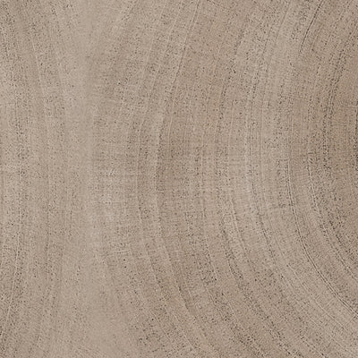Flexco Natural Elements Reflective Rings FLENESPD1O682 12" x 24" x 1/8" Luxury Vinyl Tile (36 SF/Box)