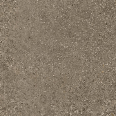 Flexco Natural Elements Capri FLENESPD1O686 12" x 24" x 1/8" Luxury Vinyl Tile (36 SF/Box)