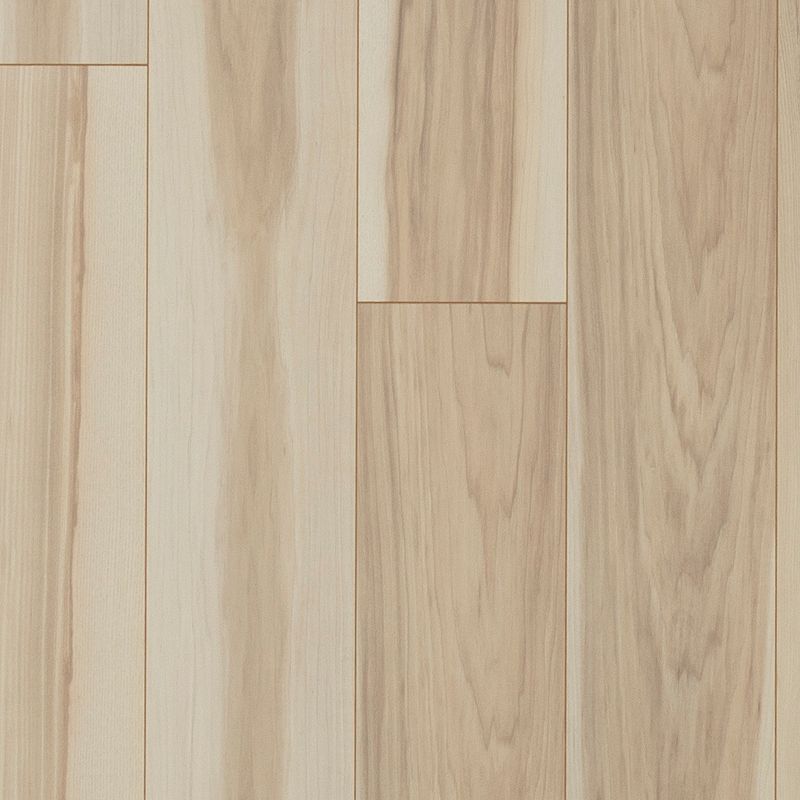 Pergo Elements Original Accustoms PSR01-01 Creme 6.14" x 47.24" Laminated Wood (16.12 SF/Box)