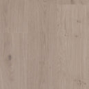 Pergo Elements Transom PSR06-04 Sculpture Oak 8.34
