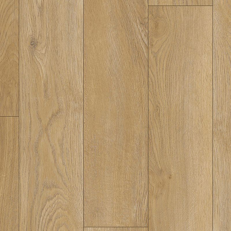 Pergo Extreme Preferred Wood Originals Crowned (Partial Piece - Sample)
