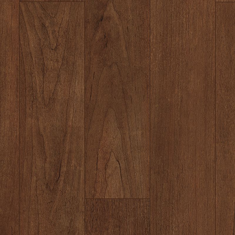 Pergo Extreme Preferred Wood Originals PT009-160 Carob 5" x 60" Luxury Vinyl Plank