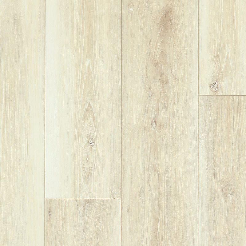 Pergo Extreme Preferred Wood Originals Divine (Partial Piece - Sample)