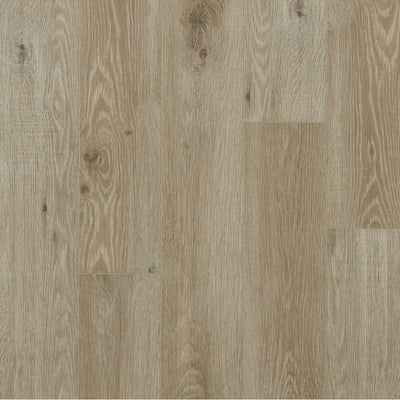 Mannington REALTA® Glue Down Paris Plank RGD101-447396 Chiffon 7" x 48" (50.84 SF/Box)