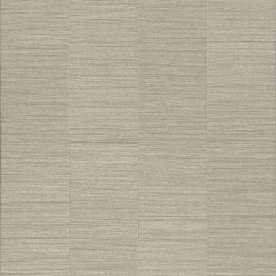 Armstrong Theorem ST924 Pyrite 6" x 36" Luxury Vinyl Tile (36 SF/Box)