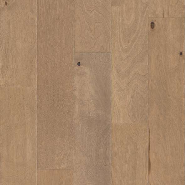 Shaw Biscayne Bay SW520-11071 Seagrass