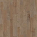 Shaw Ocala SW590-00529 Oceanside 5