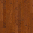 Shaw Ocala SW590-00627 Burnside 5