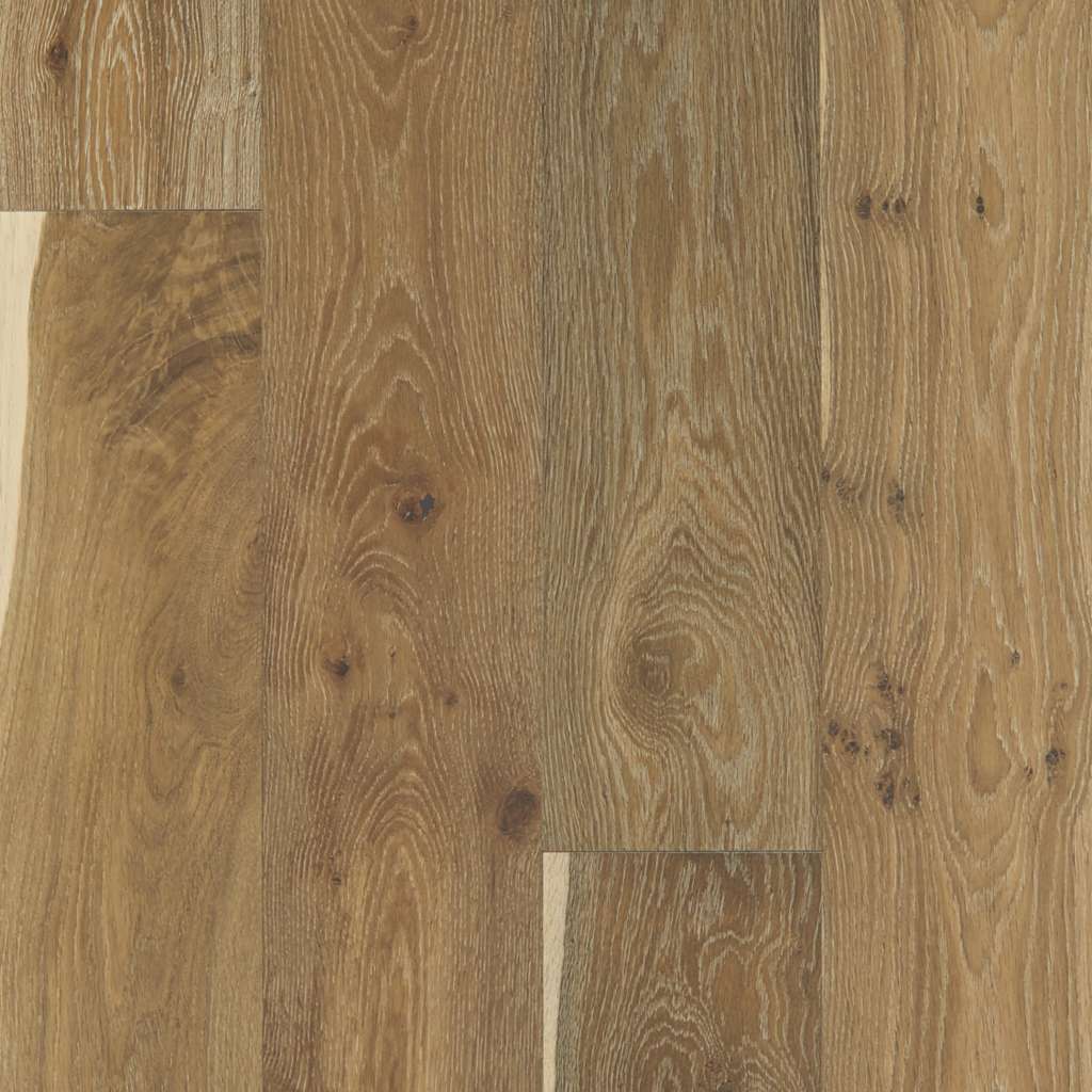 Shaw Expressions SW707-07063 Artistry