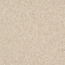 Armstrong Premium Excelon Crown Texture 5C858 Sandrift White 12