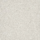 Armstrong Premium Excelon Crown Texture 5C234 Silk 12