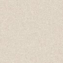 Tarkett / Johnsonite Melodia Homogeneous Sheet TAR21020970 Annapolis 6.5 ft.