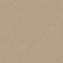 Tarkett / Johnsonite Melodia Homogeneous Tile TAR314032974 Rye Bread 12