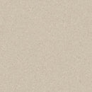 Tarkett / Johnsonite Melodia Homogeneous Sheet TAR21020973 Sand Dollar 6.5 ft.