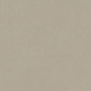 Tarkett / Johnsonite LinoFloor Emme Linoleum Sheet TAR14235201 Cenere (6'7
