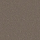 Tarkett / Johnsonite LinoFloor Emme Linoleum Sheet TAR14235732 Cedar (6'7