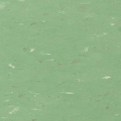 Tarkett / Johnsonite VCT 1298 Clover 12" x 12" Tile (45 SF/Box) (Warehouse #2) Discontinued / Limited-Inventory