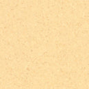Tarkett / Johnsonite Melodia Homogeneous Tile TAR314032786 Palomino 12