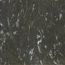 Tarkett / Johnsonite VCT II 569 Ebony 12