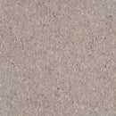 Armstrong Premium Excelon Crown Texture 5C901 Taupe 12