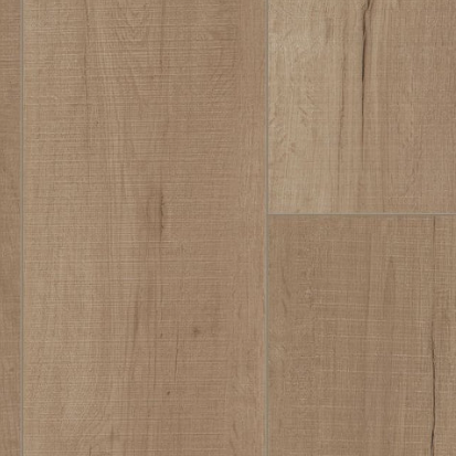 Jerome Oak / 7