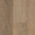 Brockport Oak / 5