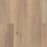 Wiltshire Oak